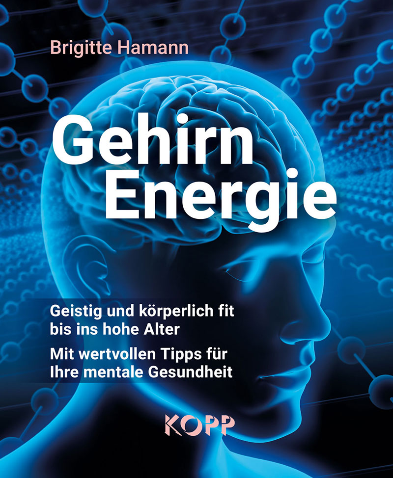 Gehirn Energie